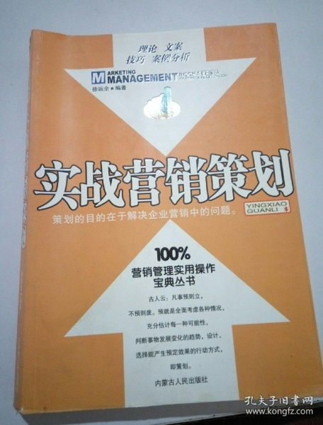 從問題到方案 實(shí)戰(zhàn)營銷策劃與企業(yè)管理咨詢的融合之道